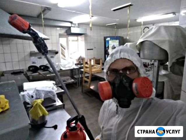 Уничтожение насекомых. Дезинсекция и дератизация Нижний Новгород - изображение 1