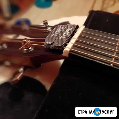Изготовление порожков для гитары из кости крс Ярославль - изображение 1