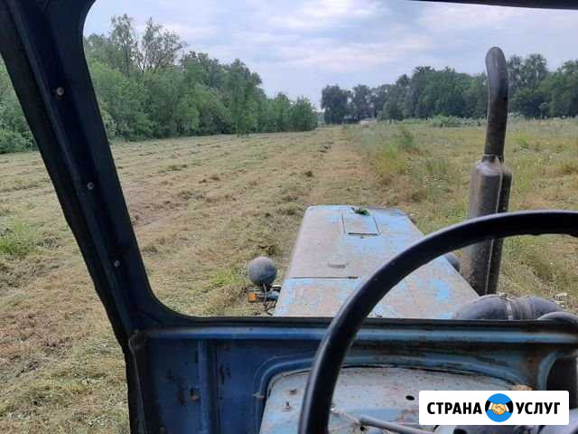 Покос травы трактором Азов - изображение 1