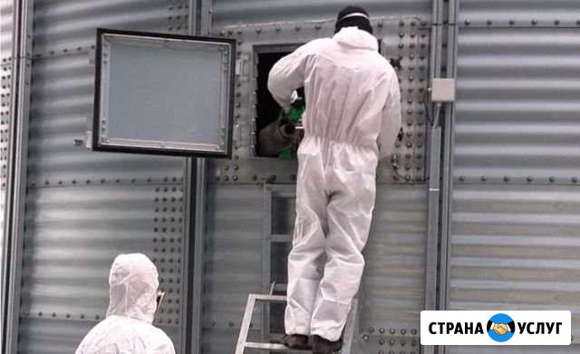 Обработка участков квартир помещений. Дезинфекция Волгоград - изображение 1