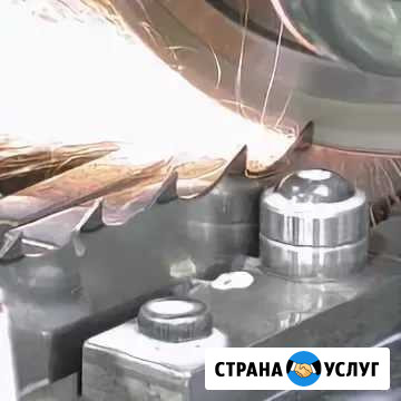 Заточка- продажа- ремонт ленточных пил по дереву Оренбург - изображение 1