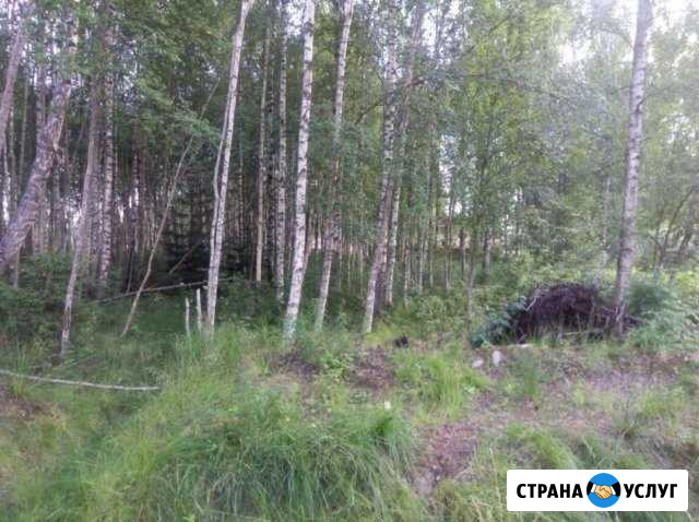 Разработка и благоустройство загородных участков Выборг - изображение 1