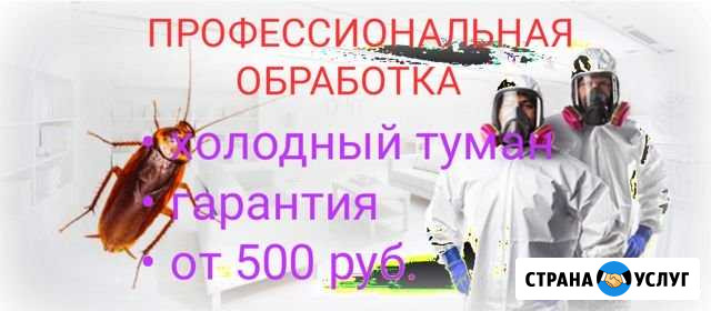Вывожу клопов, тараканов и других насекомых Екатеринбург - изображение 1