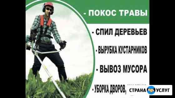 Покос травы Дмитров,Талдом,Дубна,Клин,Лобня Дмитров