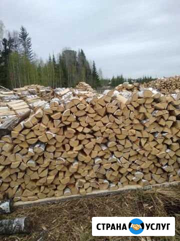 Дрова Тобольск - изображение 1