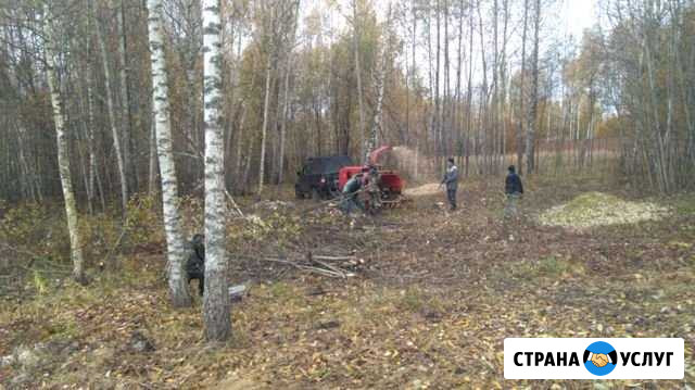 Дробилка веток Селятино - изображение 1