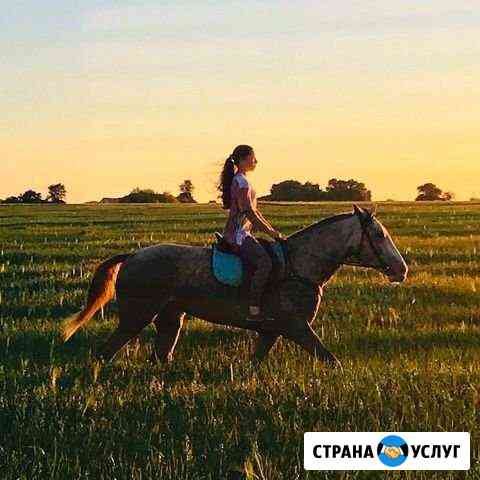 Конные прогулки, верховая езда Губкин
