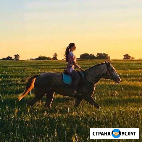 Конные прогулки, верховая езда Губкин - изображение 1
