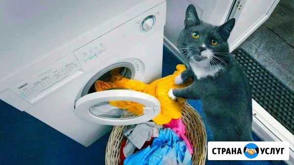 Ремонт стиральных и посудомоечных машин и свч Иваново - изображение 1