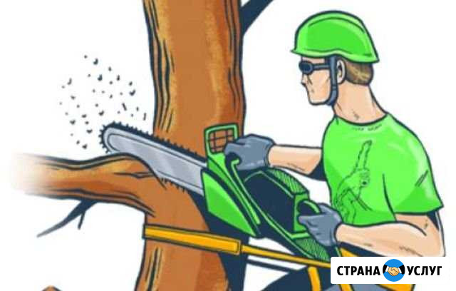 Уборка садовых участков Йошкар-Ола - изображение 1