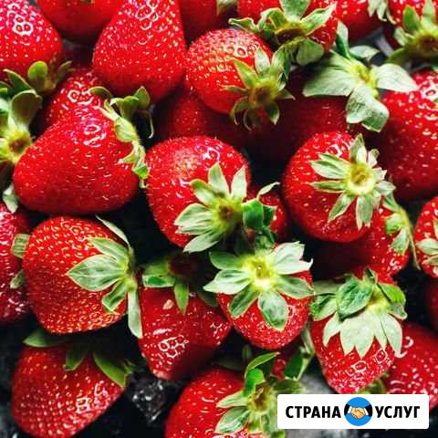 Байкальская Клубника Иркутск - изображение 1