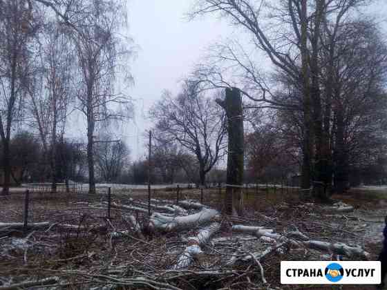 Благоустройство, пахота, фреза, спил деревьев Луховицы