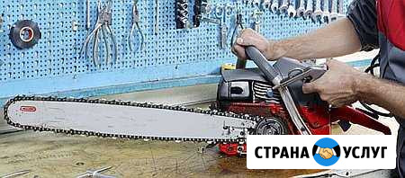 Ремонт бензоинструмента и садовой техники Александров - изображение 1
