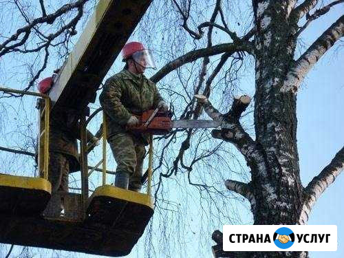 Спил деревьев кустарников Курган - изображение 1