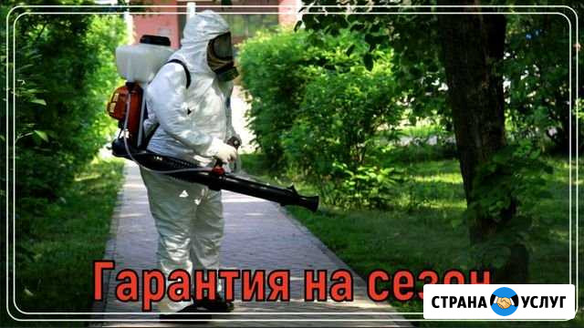 Обработка участка от клещей, кротов, борщевика, ос Пушкино - изображение 1
