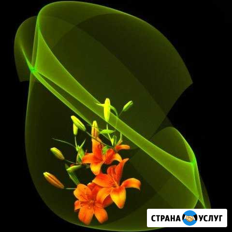 Бухгалтер по совм. (свобод. график) Калуга - изображение 1