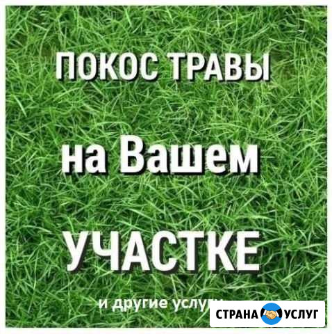 Покос травы Ковров - изображение 1