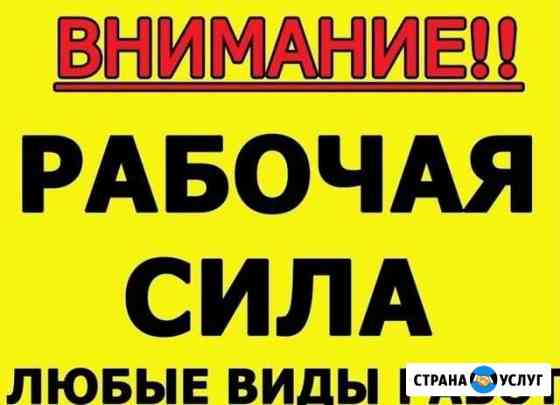Грузчики-разнорабочие, переезды 24 часа Севастополь