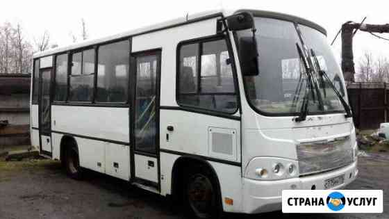 Автобусы марки паз-32042 для развозки, заказы Санкт-Петербург