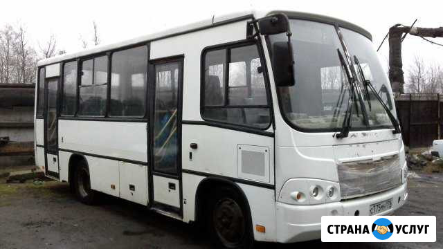 Автобусы марки паз-32042 для развозки, заказы Санкт-Петербург - изображение 1