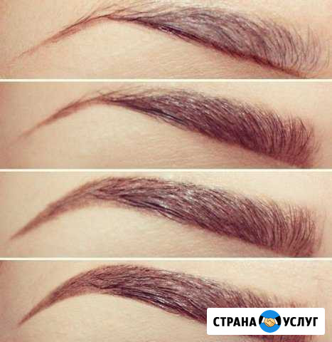Обучение Курс:Бровист Курск - изображение 1