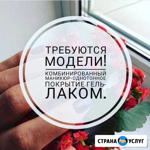 Требуется модели Кировск - изображение 1
