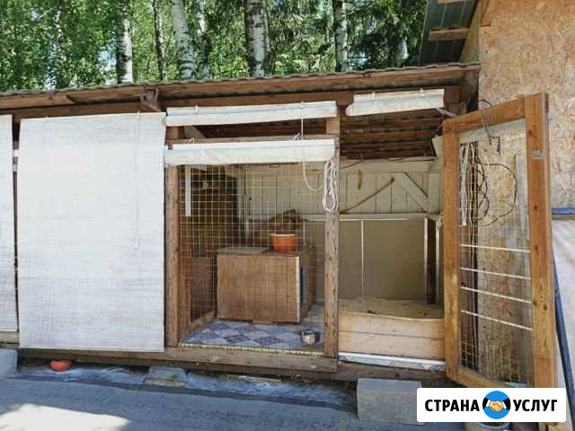 Загородная передержка Электросталь - изображение 1