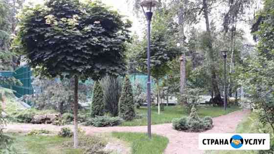 Ландшафтные работы любой сложности Тула