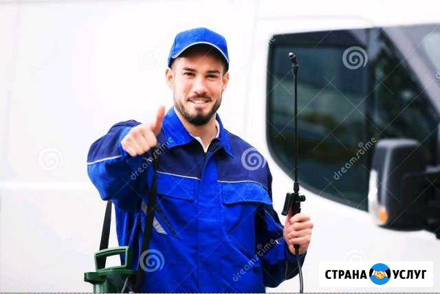 Уничтожение клопов, тараканов, блох Орск - изображение 1