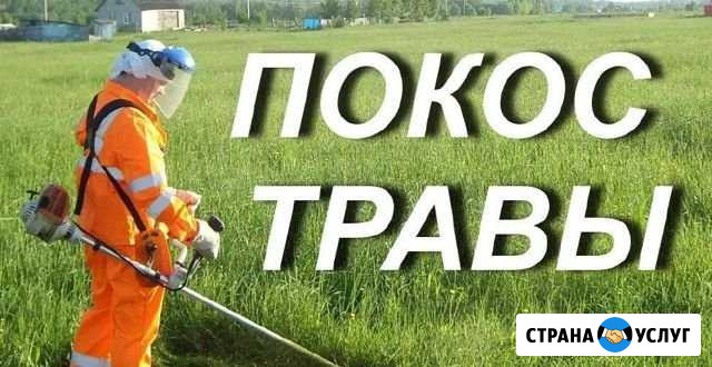 Покос травы Старица - изображение 1