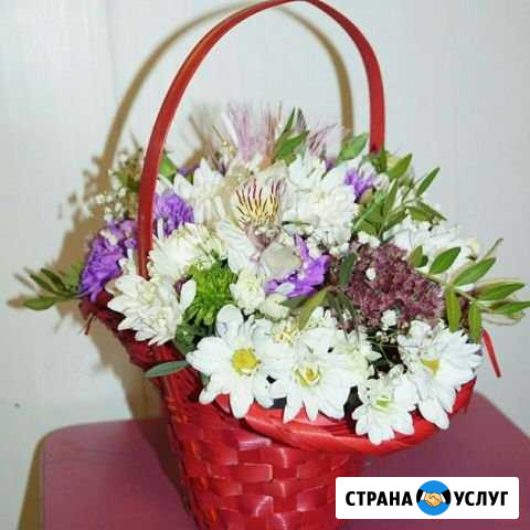 Цветы. наборы Тверь - изображение 1