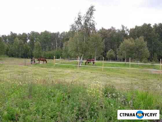 Постой для лошадей Электросталь