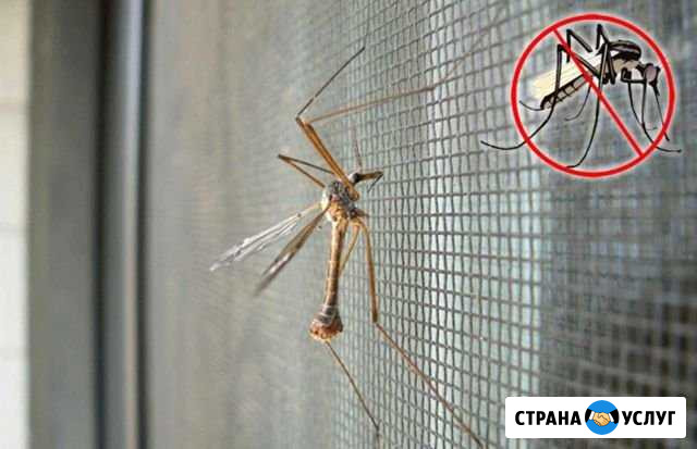 Москитные сетки Кстово - изображение 1