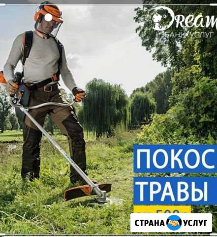 Покос травы Димитровград - изображение 1