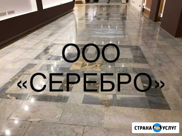 «серебро» Клининговая компания Москва - изображение 1