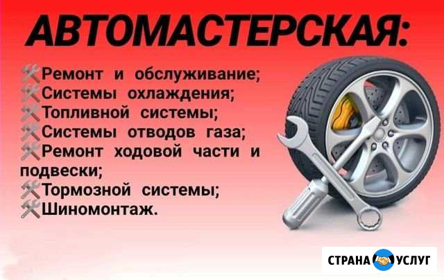 Ремонт и обслуживание авто Ардатов - изображение 1