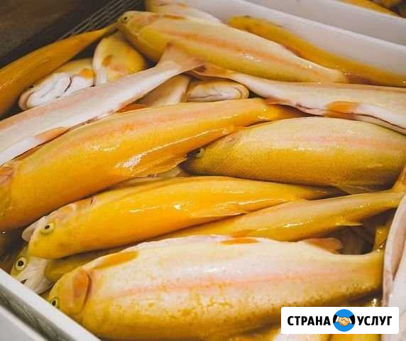 Продажа рыбы Новокубанск - изображение 1
