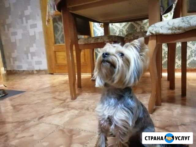 Вязка Красноярск - изображение 1