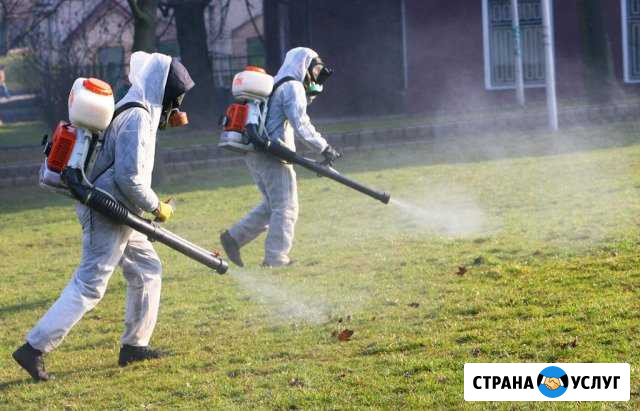 Дезинфекция помещений и транспорта Муром - изображение 1