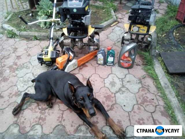 Спилим деревья на вашем участке,перепилим на дрова Солнечный - изображение 1