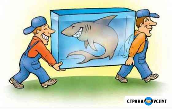 Грузчики Березники