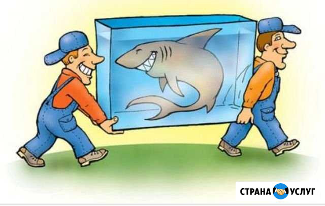 Грузчики Березники - изображение 1