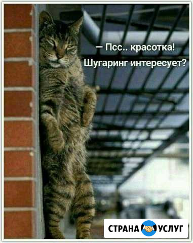 Шугаринг Брови Тольятти - изображение 1