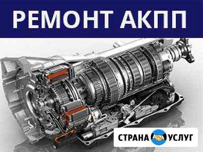 Ремонт АКПП cvt Воронеж