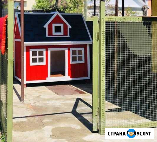 Зоогостиница,передержка собак Сочи - изображение 1