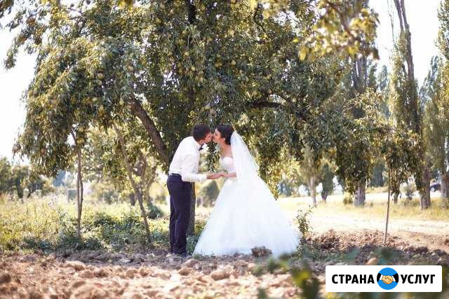 Семейный и свадебный фотограф Симферополь - изображение 1