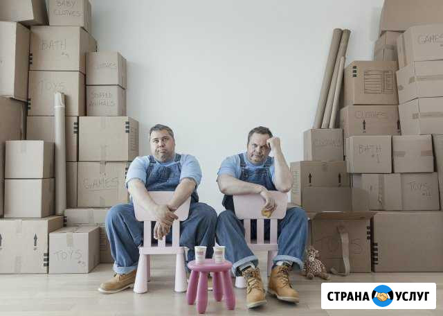 Грузчики, Разнорабочие, Славяне Санкт-Петербург - изображение 1