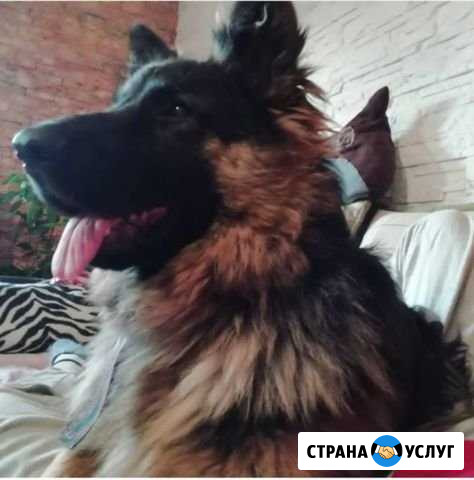 Вязка Белгород - изображение 1