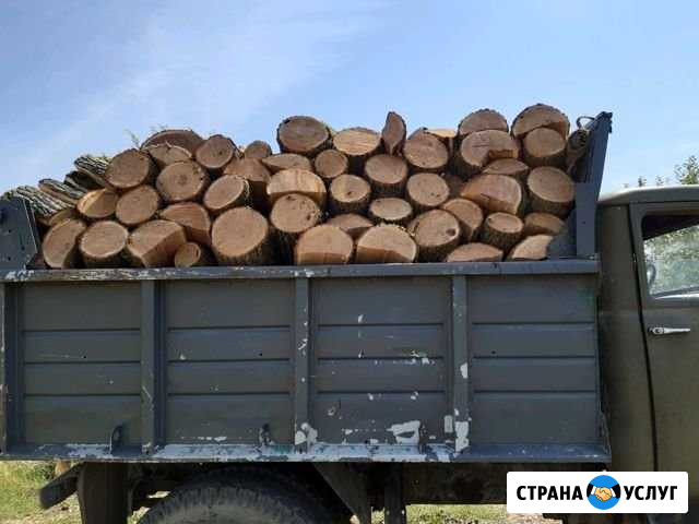 Дрова Белореченск - изображение 1