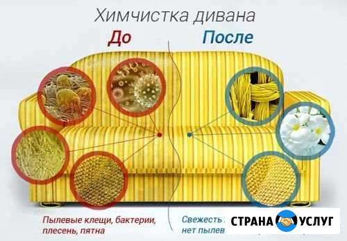 Химчистка мягкой мебели и ковров Бугульма - изображение 1